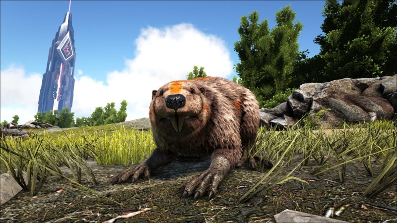 What Do Castoroides Eat in Ark (Taming, Drops, Food, and Location ...